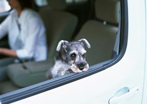 原付バイク購入とアフターサービス